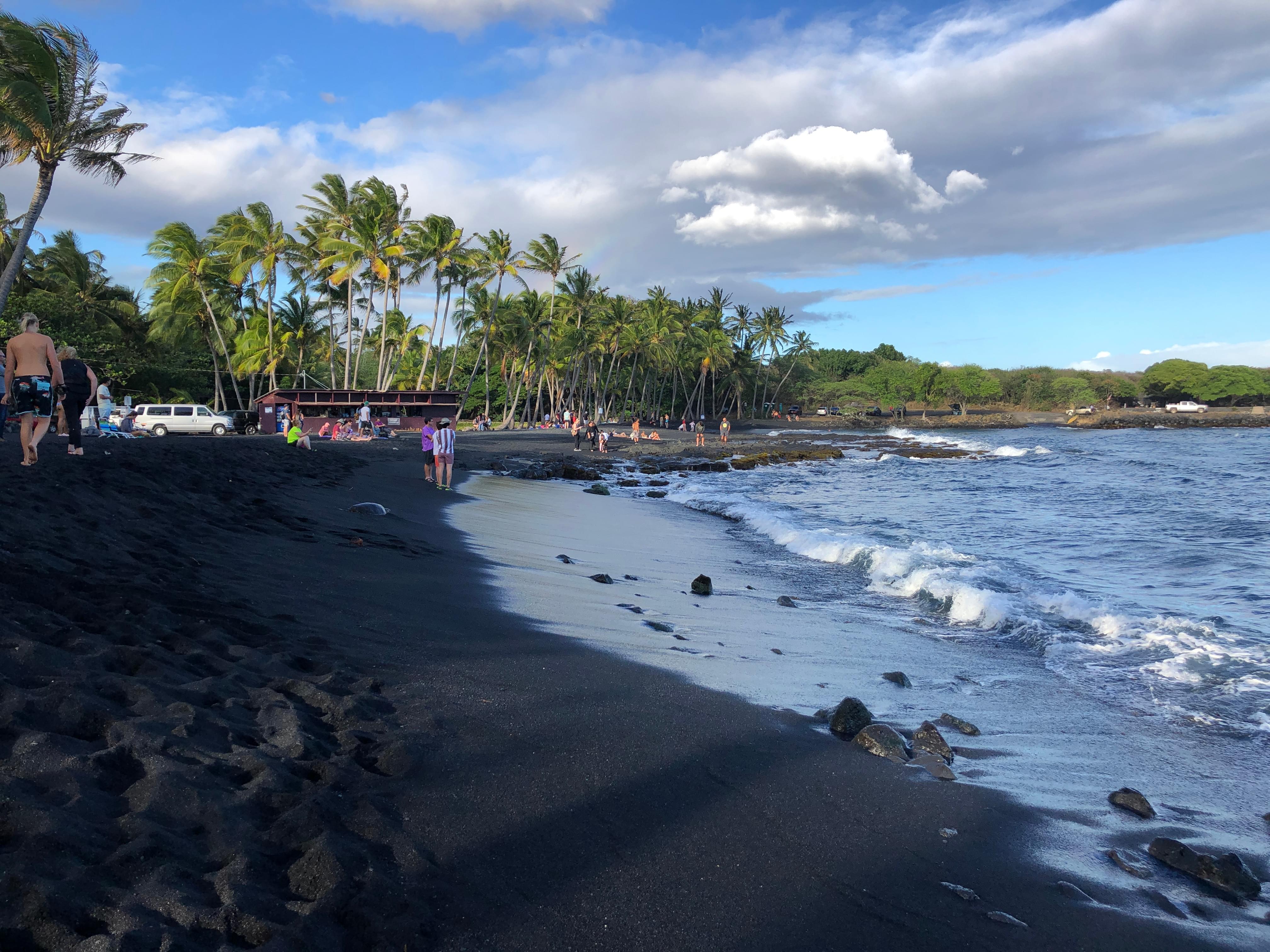 Punalu'u Black Sand Beach, Hawaii: How To Reach, Best Time & Tips